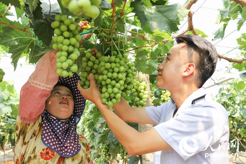 ���ղ��T���M���ш@�^(q��)��ᄾ���I(y��)�����������ͨ�^��һ��һ���_չ�涐�o�����������L���󹩈D