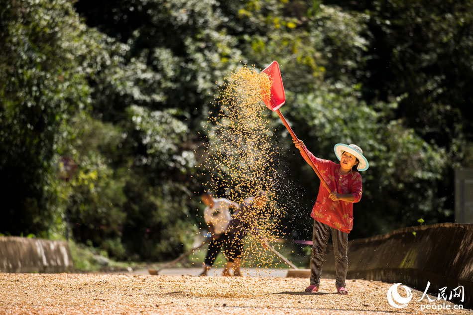 ����r(sh��)��(ji��)������ʡʮ������ɽ�h�M(j��n)�������ի@�����r(n��ng)��æ��������������ո������������������ǰ�ݺ��r(n��ng)��Ժ����̎̎��һ���S�յĈ�(ch��ng)����9��20��������ʡʮ������ɽ�h��Ҷ��(zh��n)���Ӵ���������������ס������� �z��