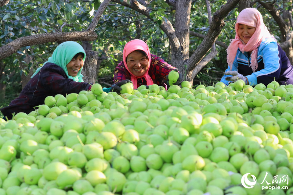 2021��9��20�������Cʡ�����P(gu��n)�������(zh��n)ʯ���400�f��������������������r(n��ng)��ץ�r(n��ng)�r(sh��)��ժ���ּ�(j��)���b������������\(y��n)���N������(ch��)�������@��(n��i)�ʬF(xi��n)��һ���S�շ�æ��ϲ�˾��������R�� �z��