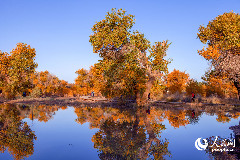 10��2������(n��i)�ɹ����΅^(q��)���������~���{������և��Ҽ���Ȼ���o�^(q��)����Į�������箋����Ф�W(xu��)ƽ�z