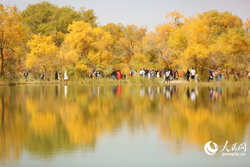 10��2�������C����ɳĮ�����־��^(q��)ӭ�˷���������Ԋ�箋���ﾰ������B������ĺ������������翗������֪��������Ԕz