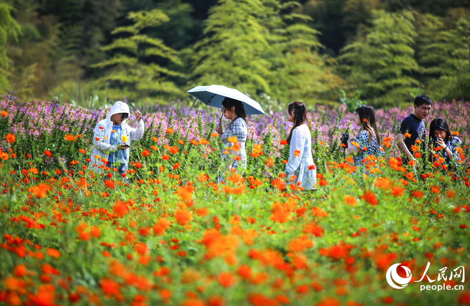 10��2�����㽭ʡ�����д���T�И�߅�ĸ��N���ܸ����_�ţ�����������ο�ǰ���p����Ӱ�����������Ŕz