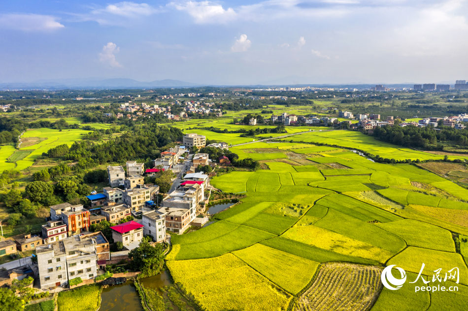 10��1��������ʡ�����е��h�����ֵ��ܼҴ����@�՝u���S������u�⣬�c�e�����µ�������{(l��n)����ƣ���(g��u)��һ�����������쮋�����ܷ��z