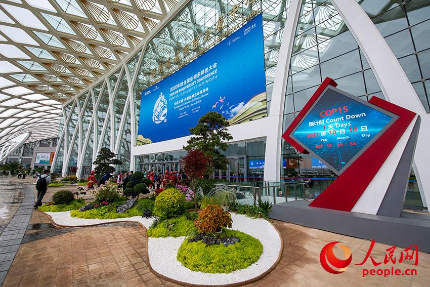 10��10�������h���^����COP15�ĵ�Ӌ�r�Ƹ�����Ŀ������W(w��ng)ӛ�� ������z