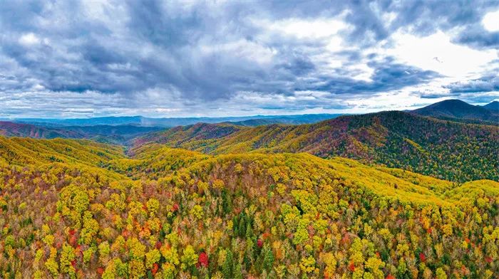 �|���������ҹ��@�������֘I(y��)�Ͳ�ԭ�ֹ��D