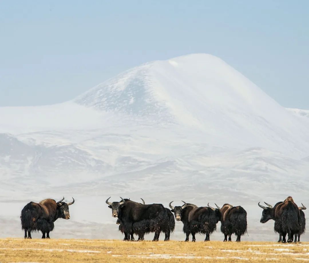 ����Դ���ҹ��@�������֘I(y��)�Ͳ�ԭ�ֹ��D