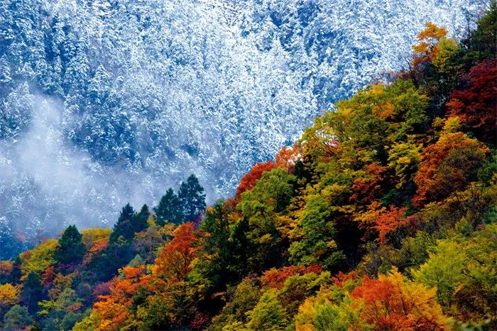 ����؈��(gu��)�ҹ��@����(gu��)���֘I(y��)�Ͳ�ԭ�ֹ��D