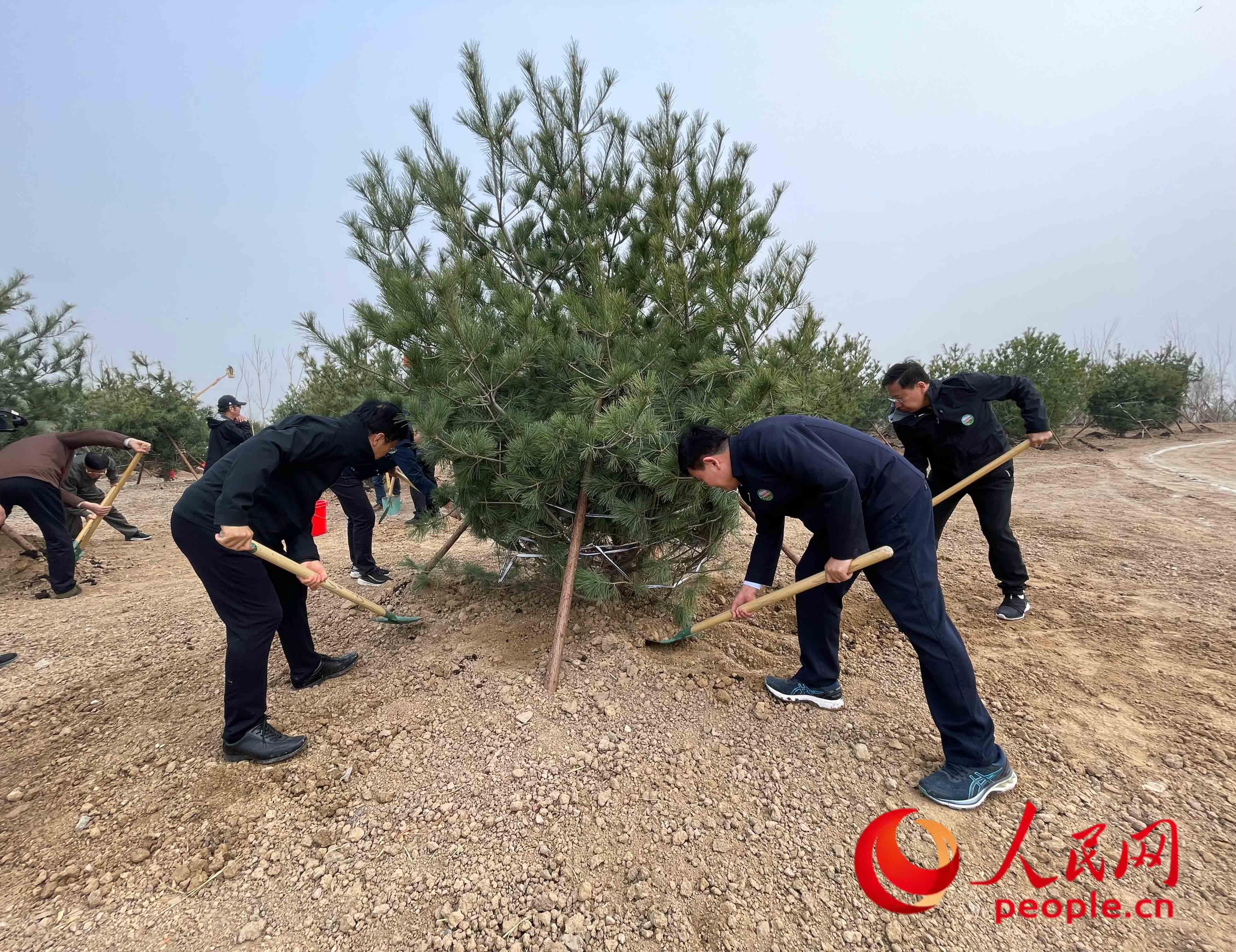 2022年共和國(guó)部長(zhǎng)義務(wù)植樹(shù)活動(dòng)現(xiàn)場(chǎng)。人民網(wǎng)記者 余璐攝