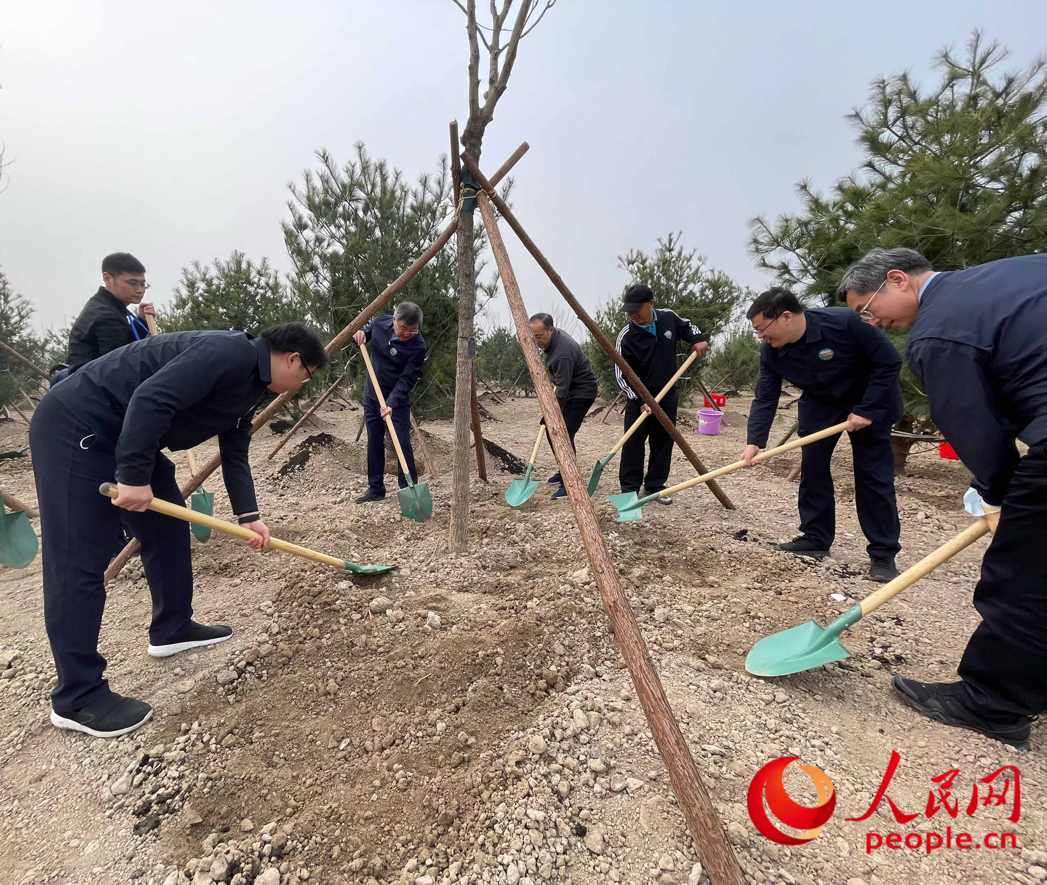 2022�깲�͇�(gu��)���L(zh��ng)�x��(w��)ֲ��(sh��)���(d��ng)�F(xi��n)��(ch��ng)������W(w��ng)ӛ�� ��贔z