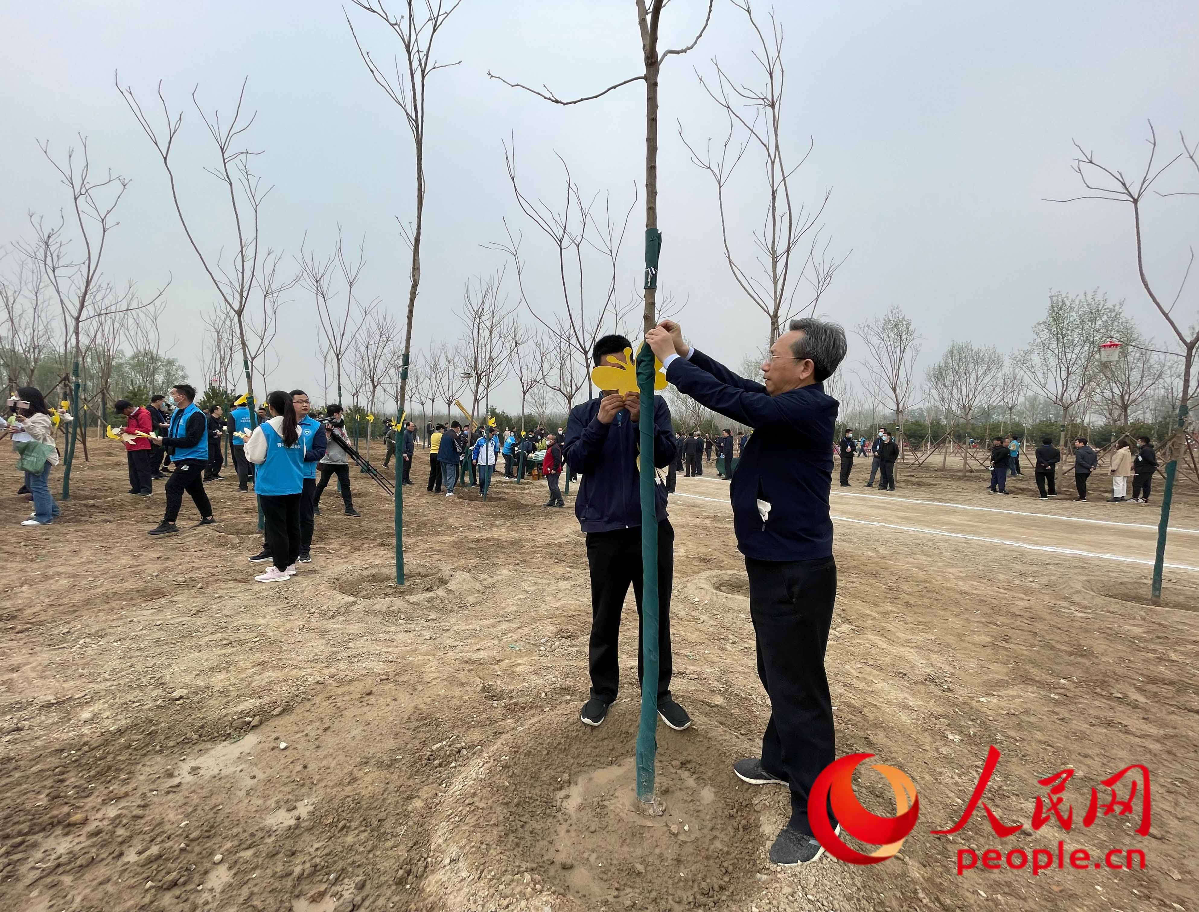 ���x��(w��)ֲ��(sh��)���(d��ng)�ē����c(di��n)�����L(zh��ng)��?y��u)�С�?sh��)�����T����������W(w��ng)ӛ�� ��贔z