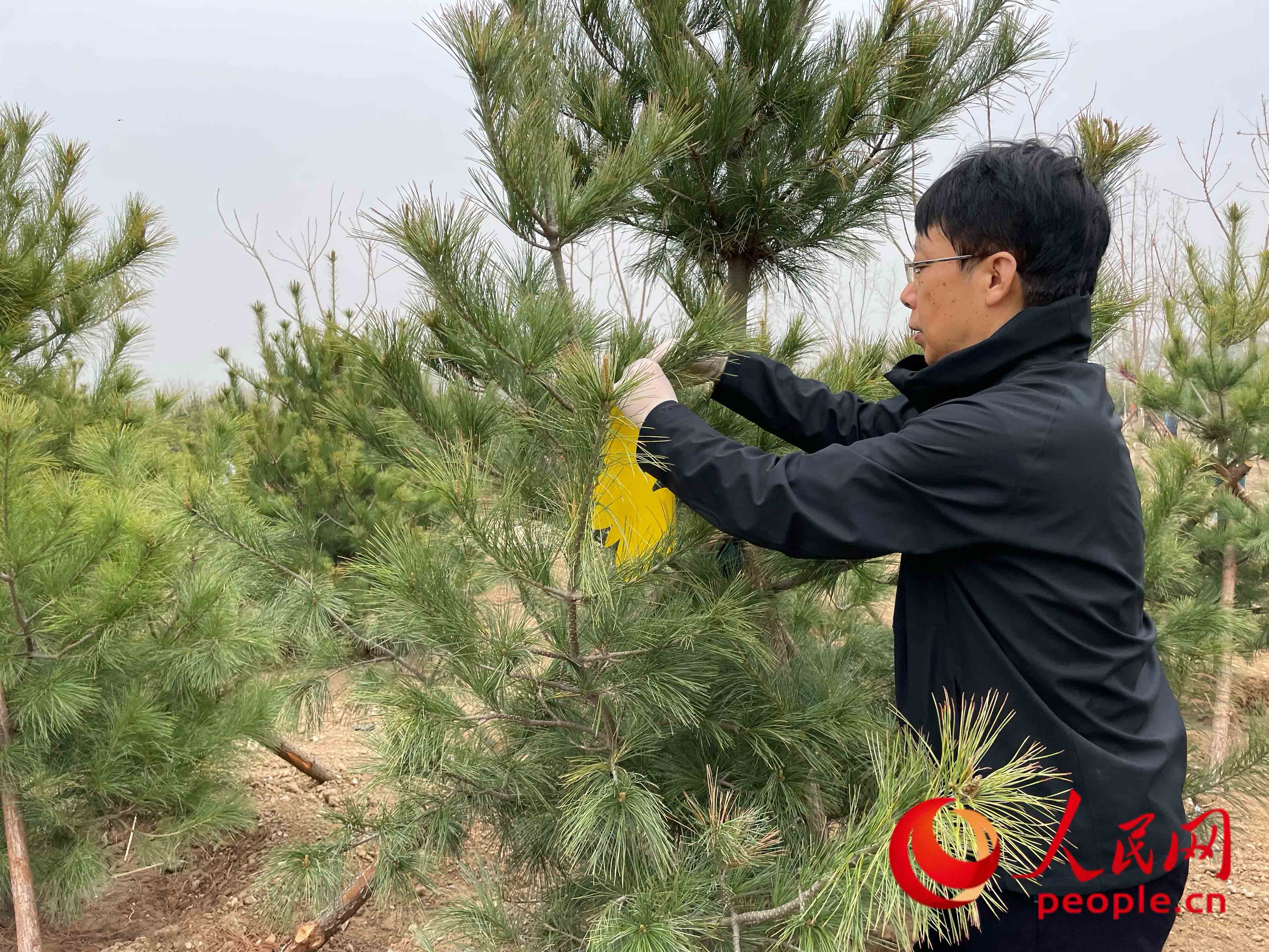 ���x��ֲ���ӵē����c�����L��?y��u)�С������T����������W(w��ng)ӛ�� ��贔z