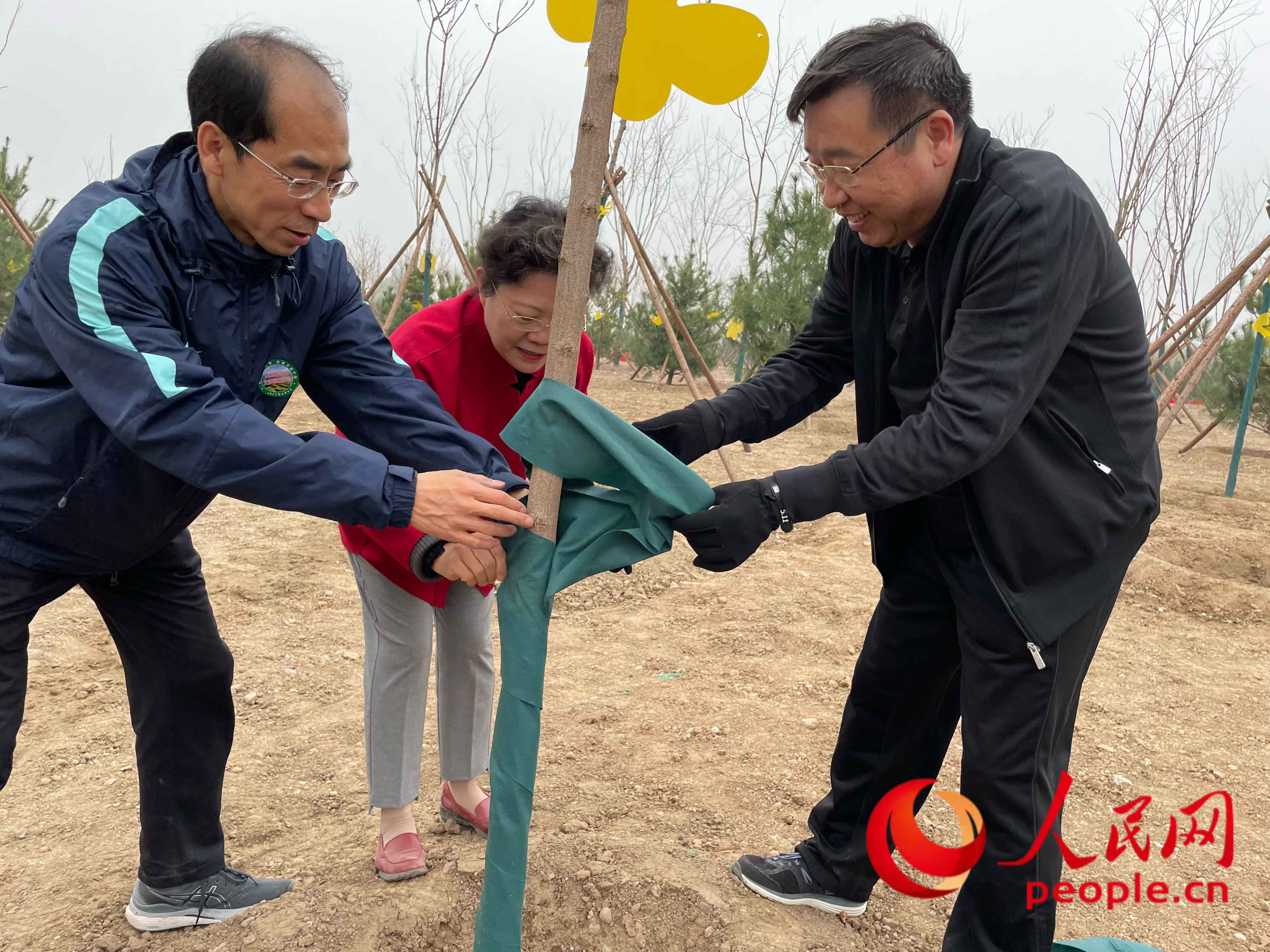 ���x��(w��)ֲ����(d��ng)�ē����c(di��n)�����L(zh��ng)��?y��u)�С����������������W(w��ng)ӛ�� ��贔z