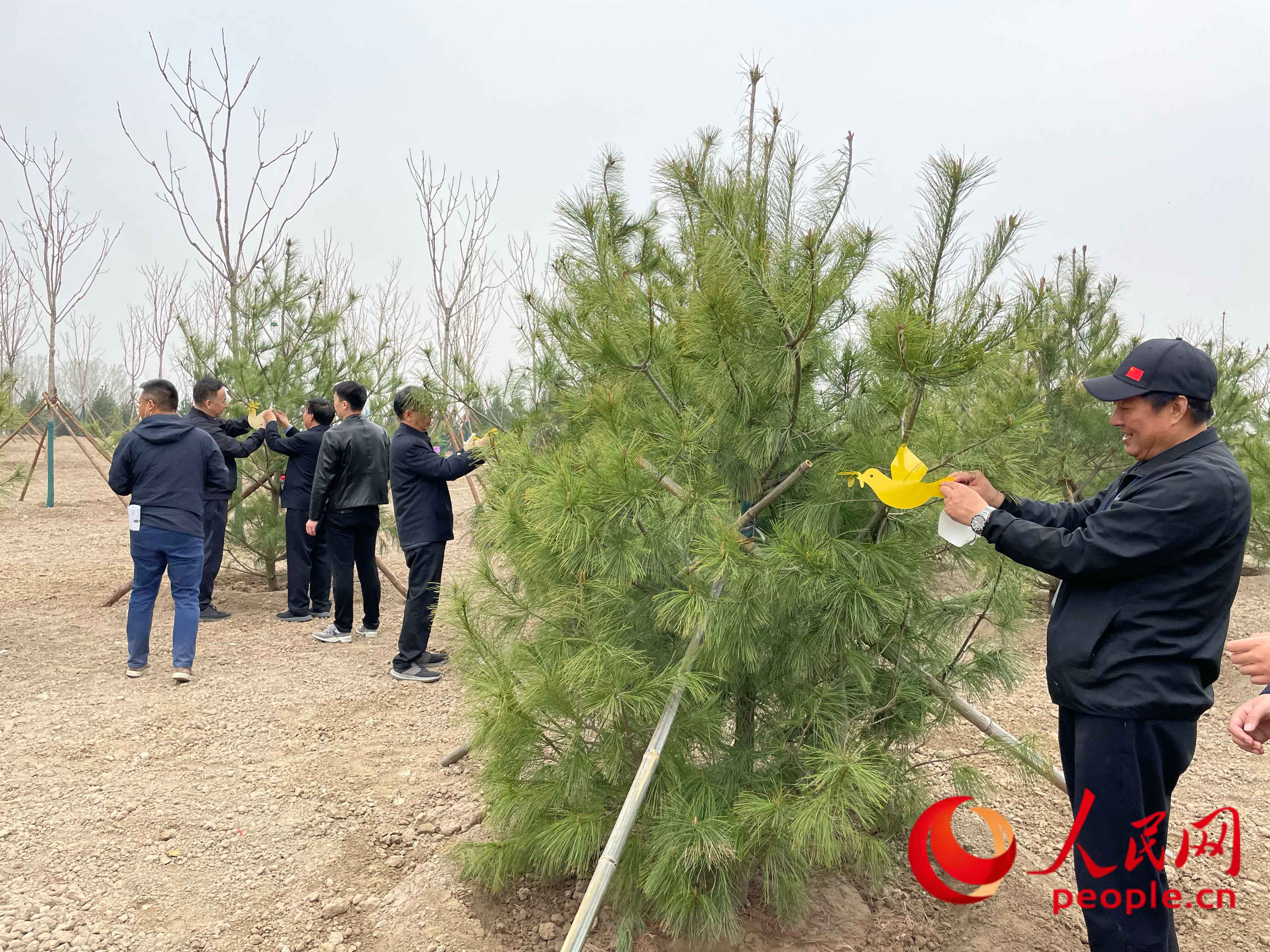 ���x��(w��)ֲ���ӵē����c�����L��?y��u)�С������T����������W(w��ng)ӛ�� ��贔z