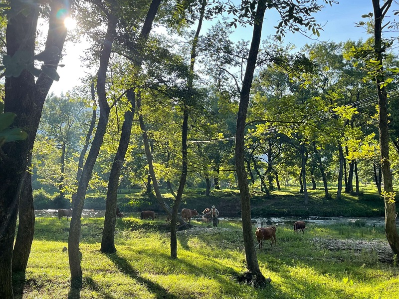 ���B(t��i)������������¿h��(ji��n)�־Gɫ�l(f��)չ�������ڽ��O(sh��)�����l(xi��ng)���ͬ�r(sh��)��������ɽˮԭò������W(w��ng) ���ڔz