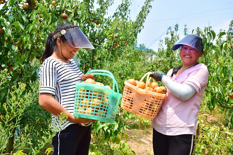 �a(ch��n)�I(y��)�����S��@��Ц�_��������ͨ�^��������+����+�r(n��ng)�����İl(f��)չģʽ���r(n��ng)��������һ�l�ԡ������¸����Ҹ�������������z