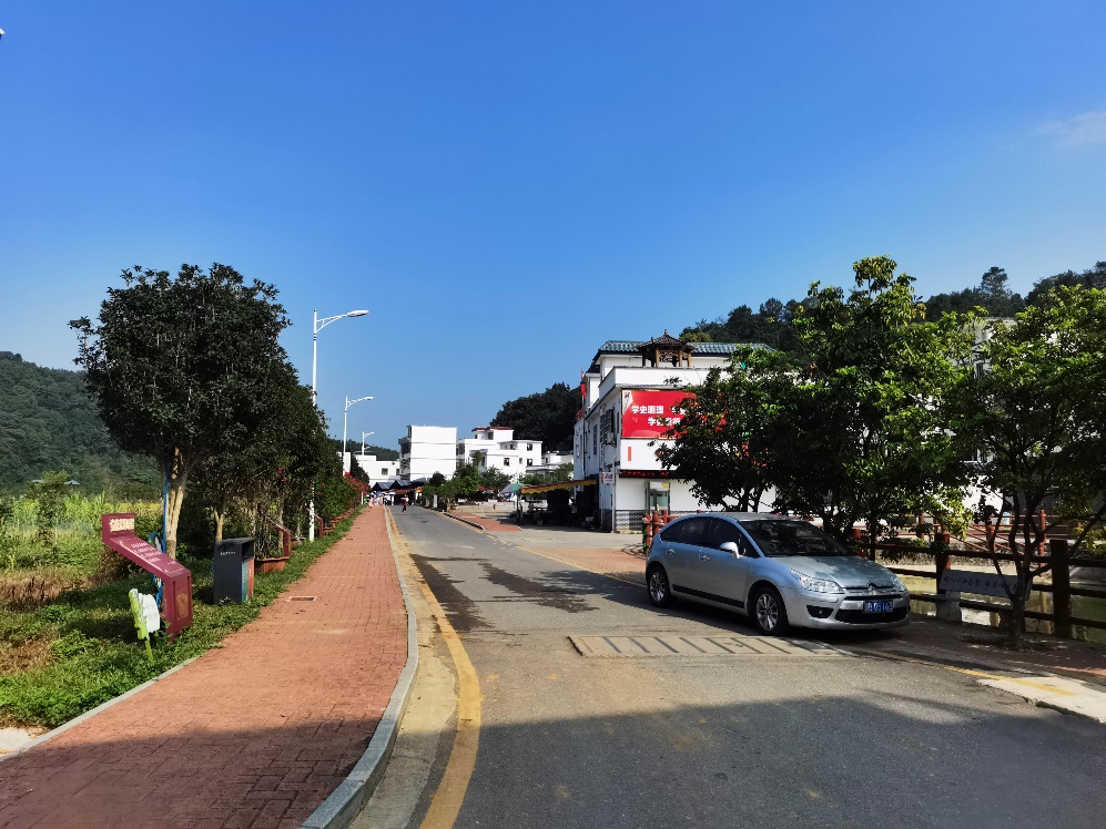 �B�����(n��i)����·������W(w��ng)ӛ�� ���N���z