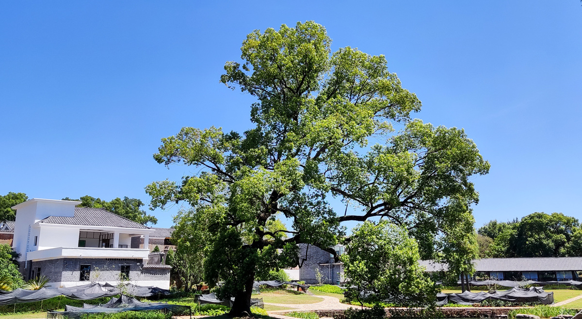 ��������ô���ٵ���һ�ô��(sh��)���@���Ǵ����ļҳ��ĺõط���Ҳ�����ӂ����еĚw��������W(w��ng)ӛ�� �O����z