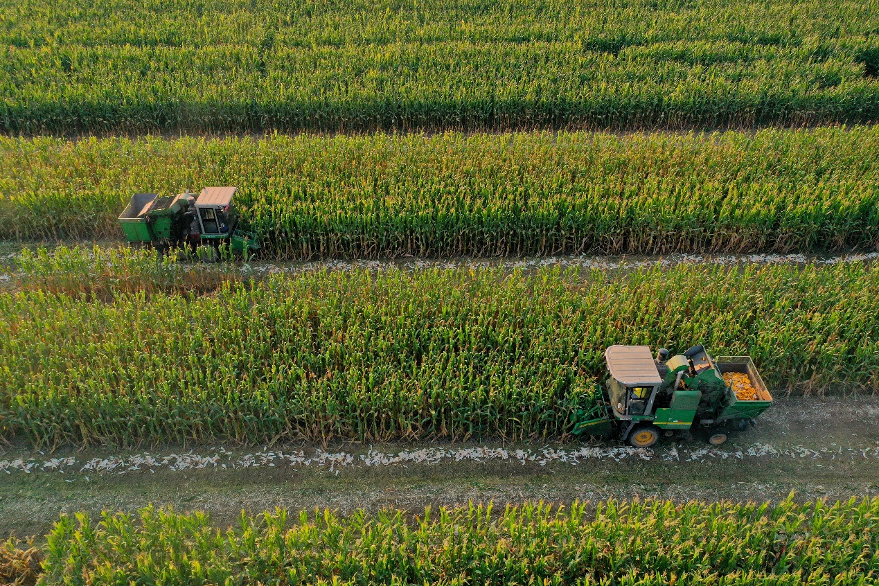 ɽ�|������89.5�f�������M(j��n)���ի@����ȫ�г��ӬF(xi��n)�����r(n��ng)�C�b����r(n��ng)���ṩ���N�շ���(w��)���_���Zʳ�w���w�}����������ί���������D��