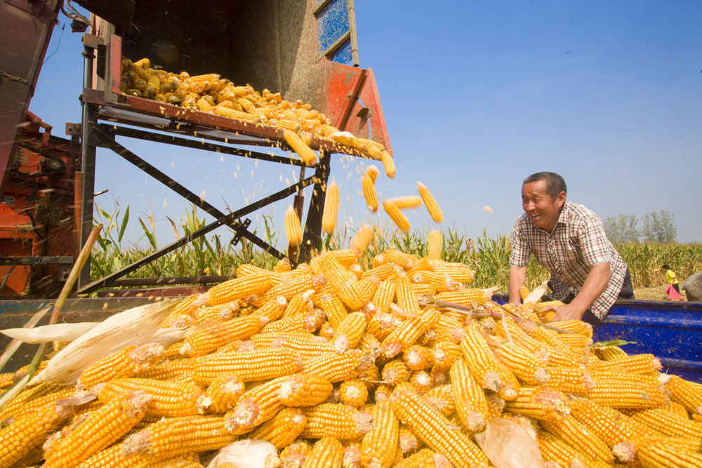 ����ʡ���������ؿh��(hu��)ͤ�(zh��n)���Ǵ��r(n��ng)����������æ���ի@�����������߳� �z��