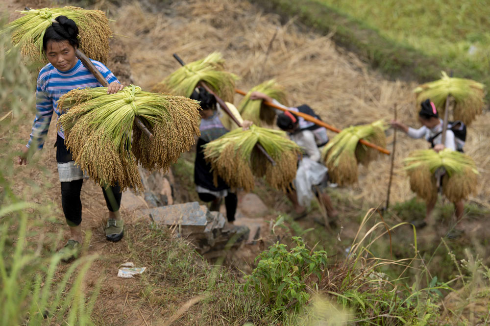 ����r��(ji��)���F��ʡǭ�|�����嶱�������ݏĽ��h3�f�஀���Ŵ����������(d��ng)?sh��)��r(n��ng)����ץ�r(n��ng)�r�Â��y(t��ng)��ʽ�ո���������ǵ�܊ �z��