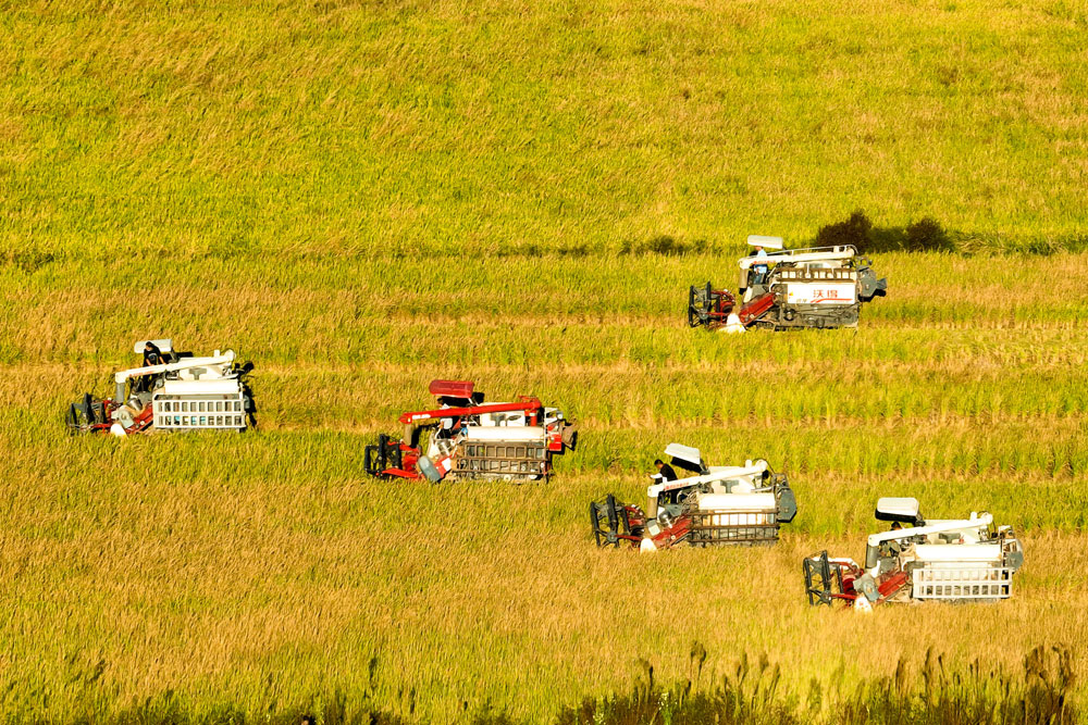 ����ʡТ�����Ɖ��h����(zh��n)�f��������Ŵ���r(n��ng)����ո�C(j��)æµ�����g�����ش����ո�ˮ�������g���^һ���S�վ����������W(xu��)܊ �z��