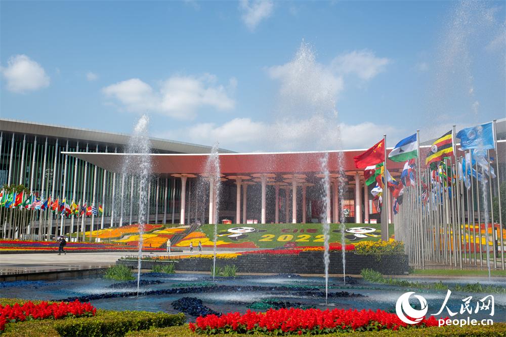 ����W(w��ng)ӛ��ֱ��������M�����F(xi��n)��