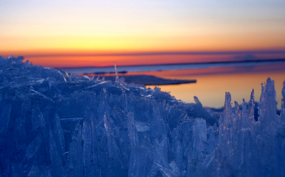 �ܔD�����ѵı�������הz