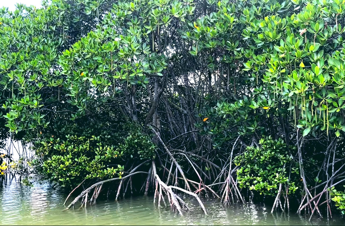 �t��(sh��)�ֱ��o(h��)�^(q��)��Ҫ���o(h��)��(du��)���t��(sh��)�֝�����B(t��i)ϵ�y(t��ng)�������������������������Ȼ���^����(l��i)Դ�����L(f��ng)���ṩ