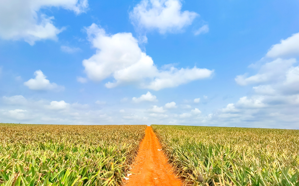 տ�������}�ĺ�������Դ�����L���ṩ