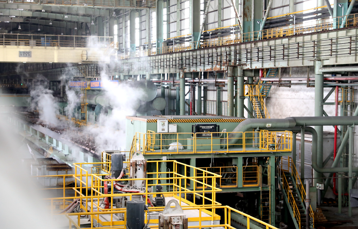 տ����F܈�܇�g������W(w��ng) Ѧ�G�G�z