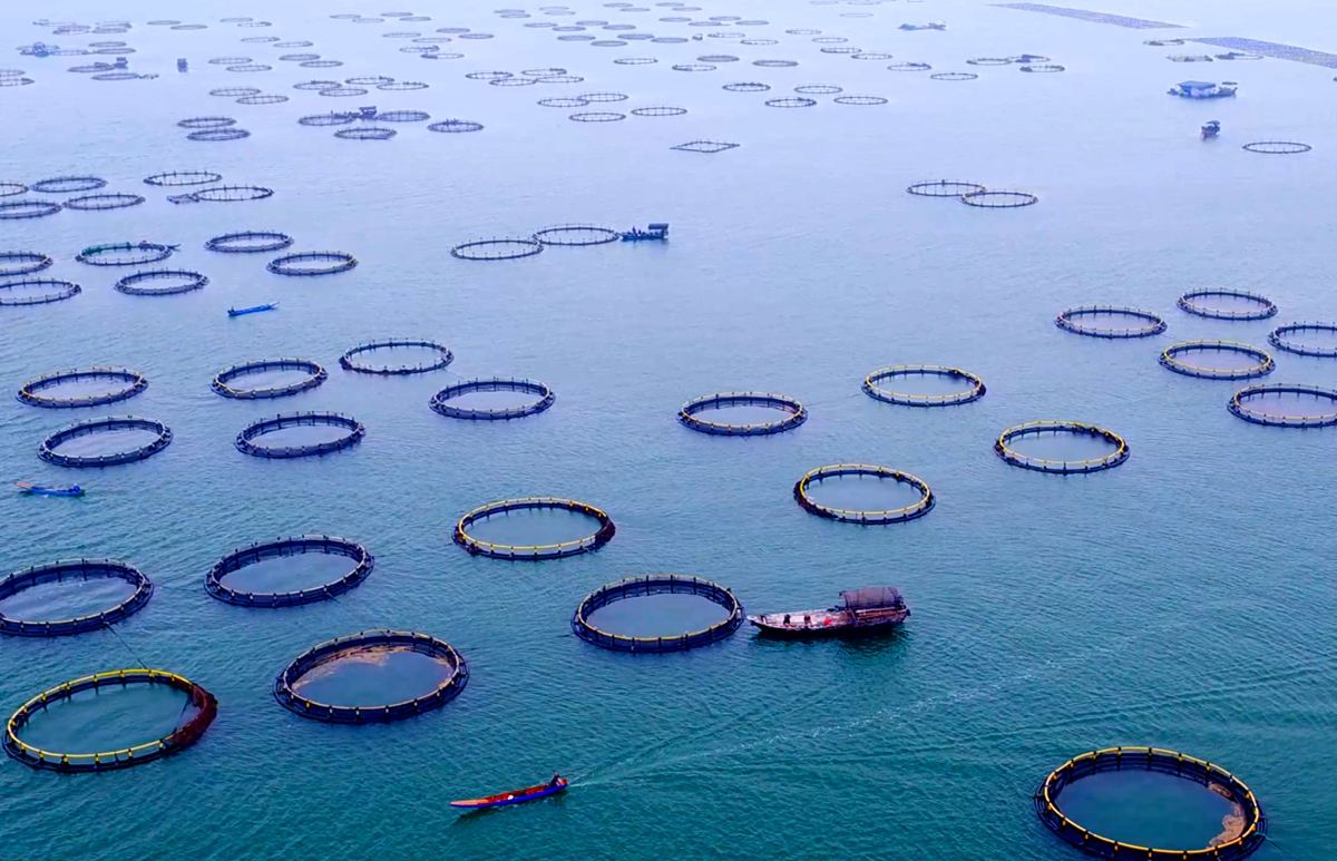 տ�����d���F(tu��n)�ĺ�����������Դ�����L���ṩ