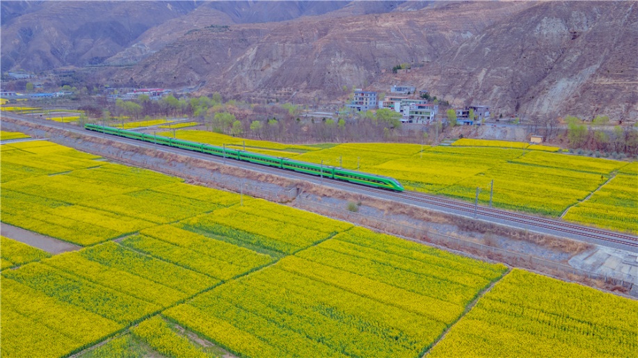 �m���F·�ؾ��Ͳ˻���(j��ng)���_(k��i)������(f��)�d̖(h��o)���^(gu��)�����������̎�����貨�z