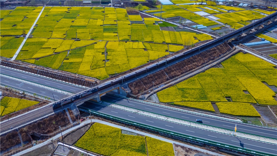 ��(f��)�d̖(h��o)���^(gu��)�Ͳ˻��������貨�z