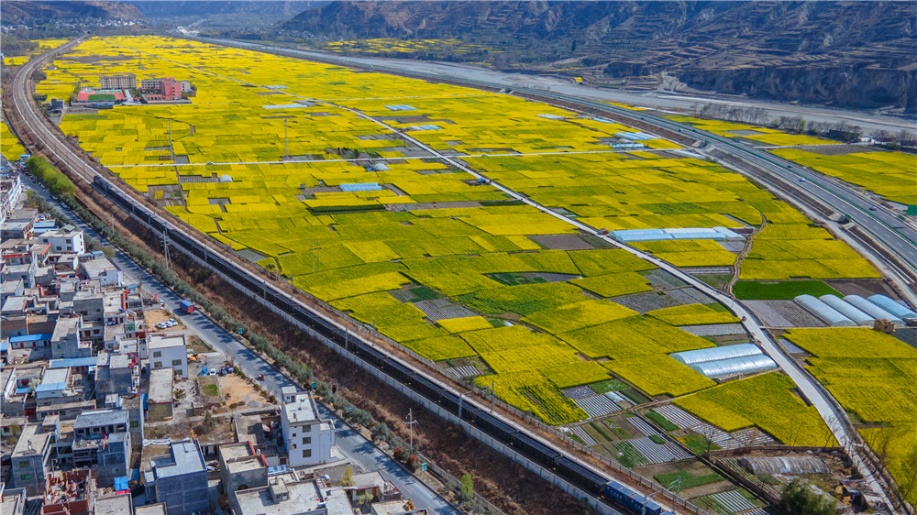 �m���F·�ؾ��Ͳ˻���(j��ng)���_(k��i)�ţ���܇���^(gu��)�����������̎�����貨�z