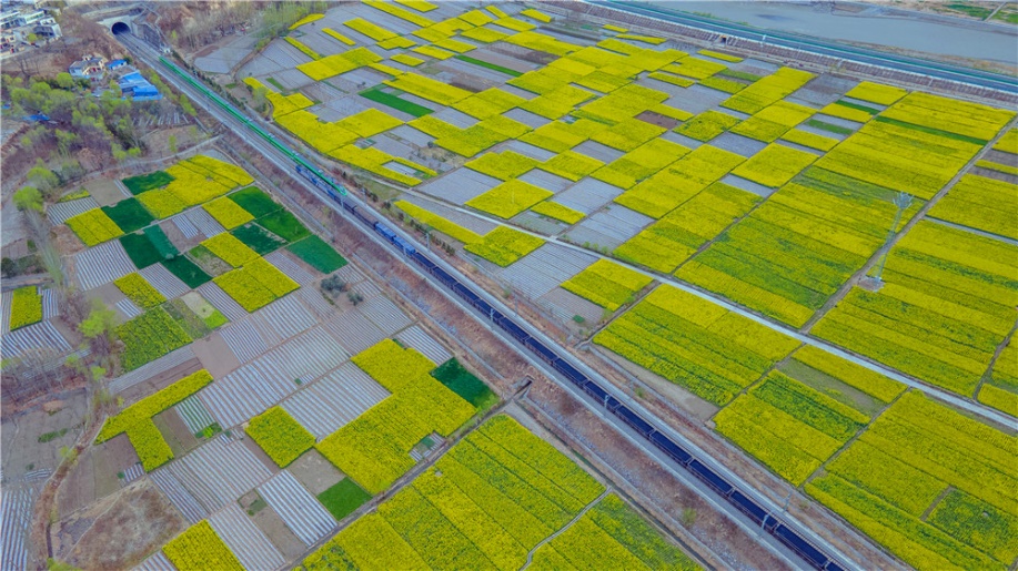 �m���F·��һ�Џ�(f��)�d̖�cһ��؛܇��܇�����貨�z