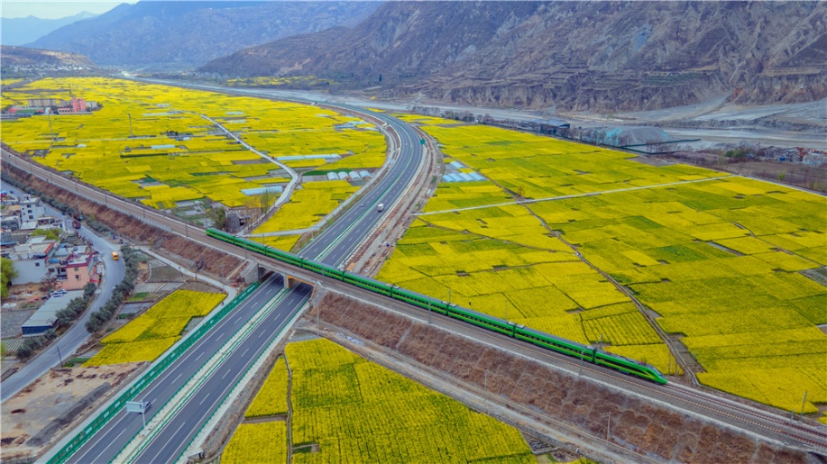 �m���F·�ؾ��Ͳ˻������_�ţ���(f��)�d̖���^�����������̎�����貨�z