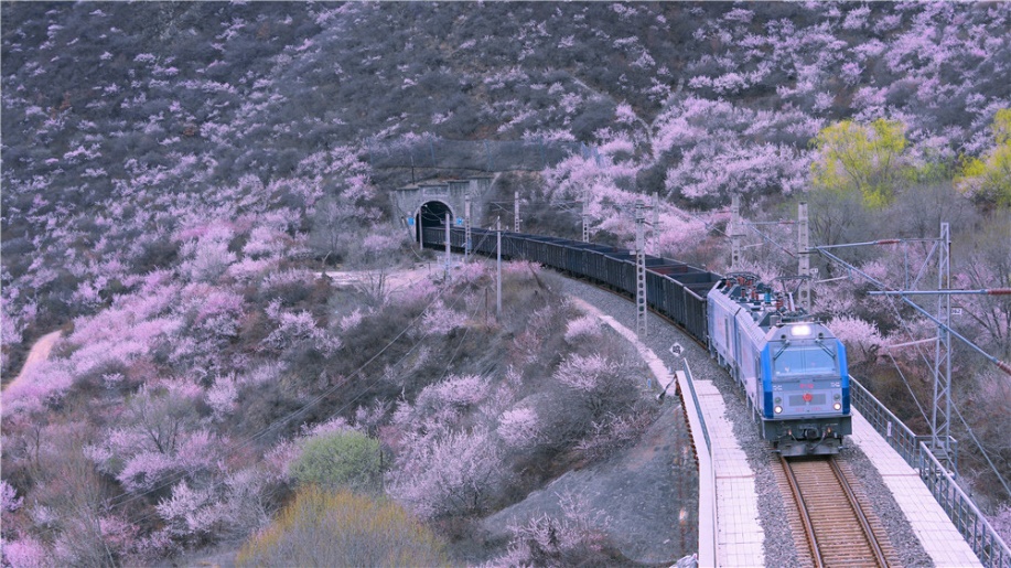 ��܇����ڌ��о��������貨�z