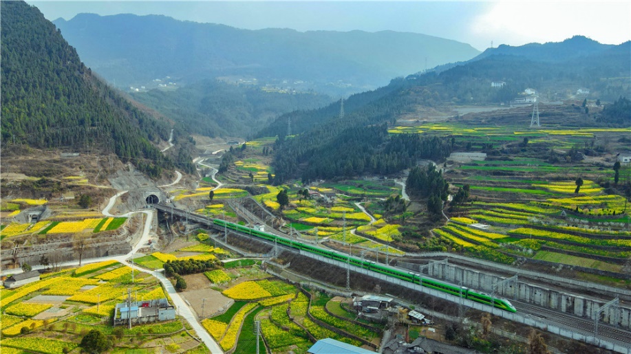 ��(f��)�d̖(h��o)���^�Ͳ˻��������貨�z