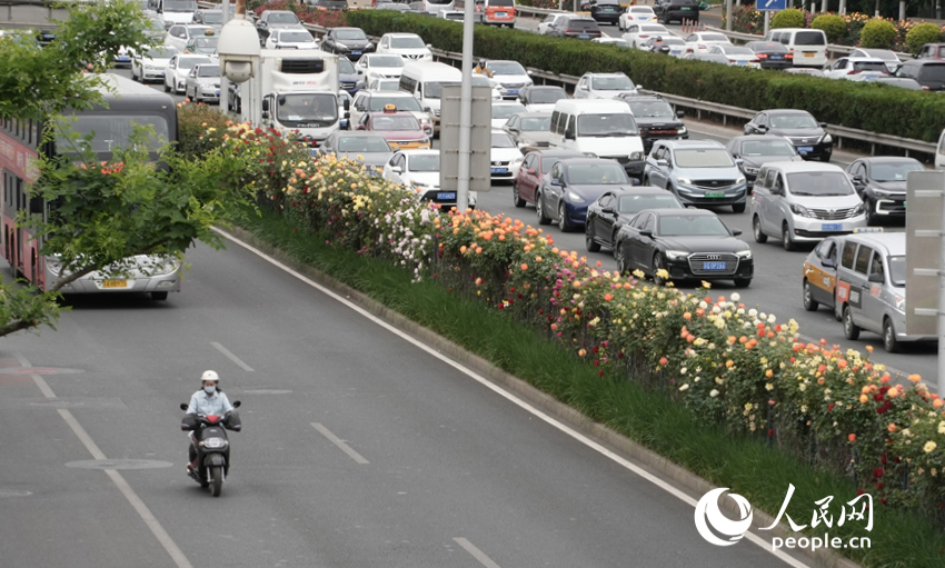 �����ĭh(hu��n)·���ϵ��¼������x��������W(w��ng)ӛ�� ���옷(l��)�z