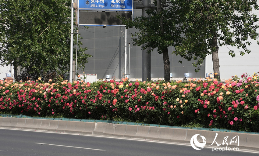 �������h(hu��n)·���ϵ��¼������x��������Wӛ�� ���옷�z