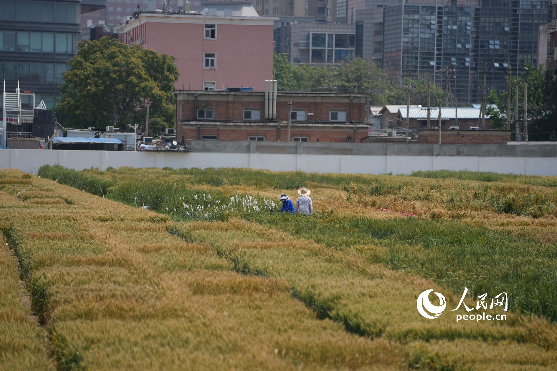 �����ˆT�ڡ���������������ԇ�(y��n)���S������������W(w��ng)ӛ�� ���옷�z