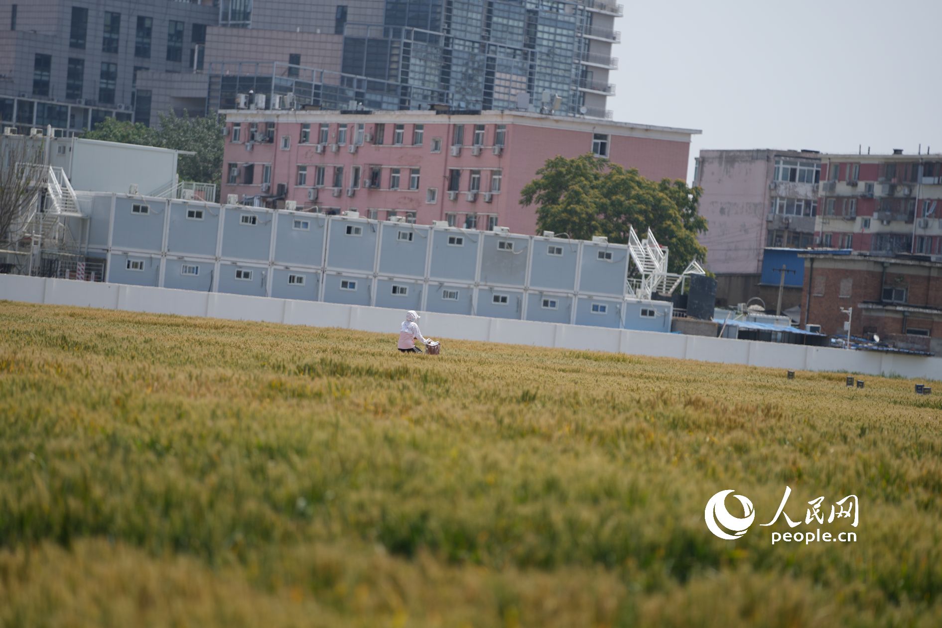 �����ˆT�ڡ���������������ԇ�(y��n)���S������������W(w��ng)ӛ�� ���옷�z