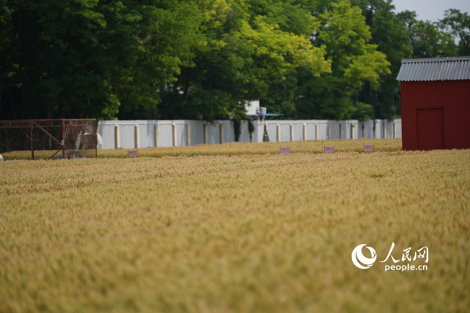 ���{�ڵı�������������S������������W(w��ng)ӛ�� ���옷�z