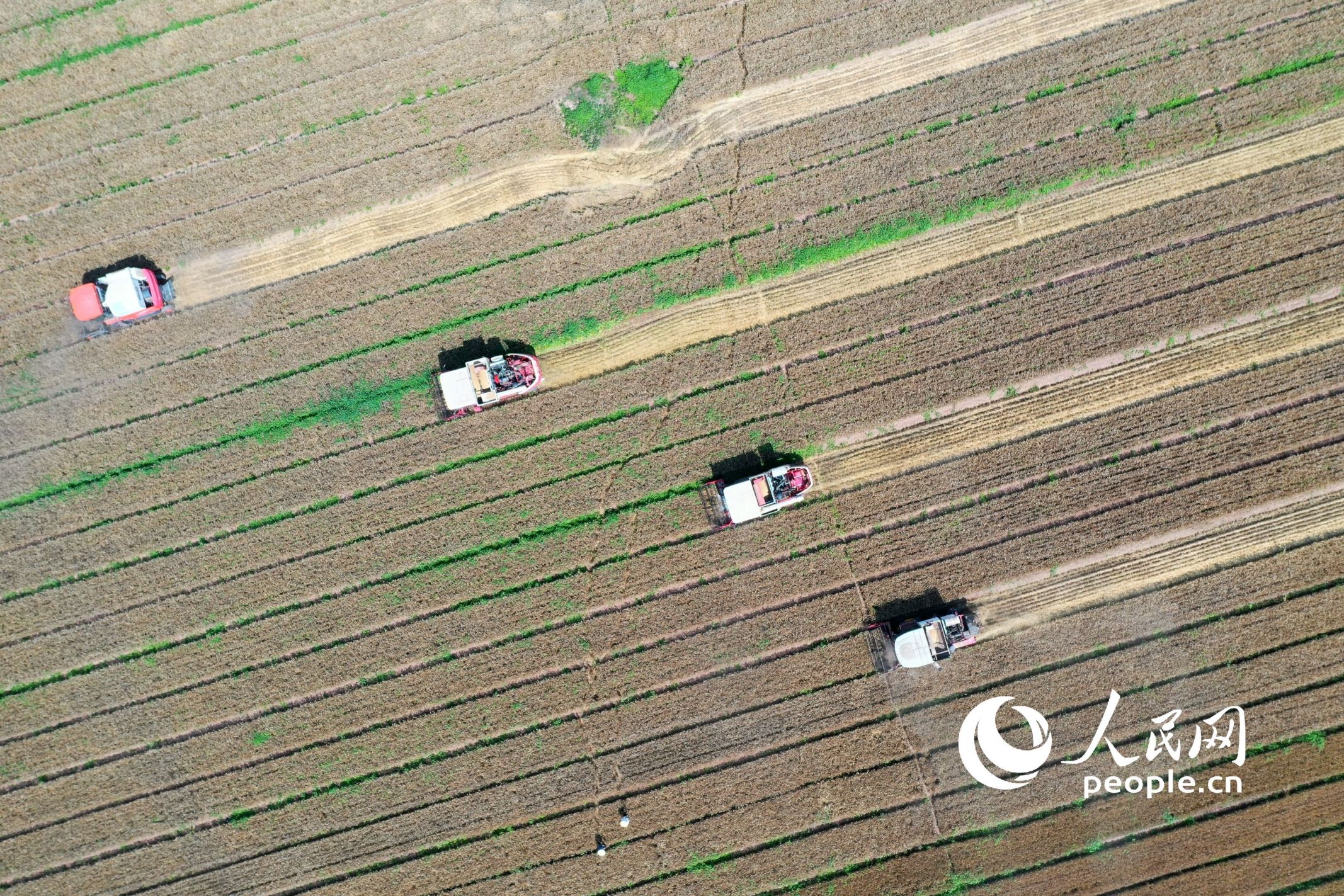 â�N�r��(ji��)�����˝L�L���MĿ���S�����hС��ӭ���ի@�߷�������W(w��ng)ӛ�� ���옷�z