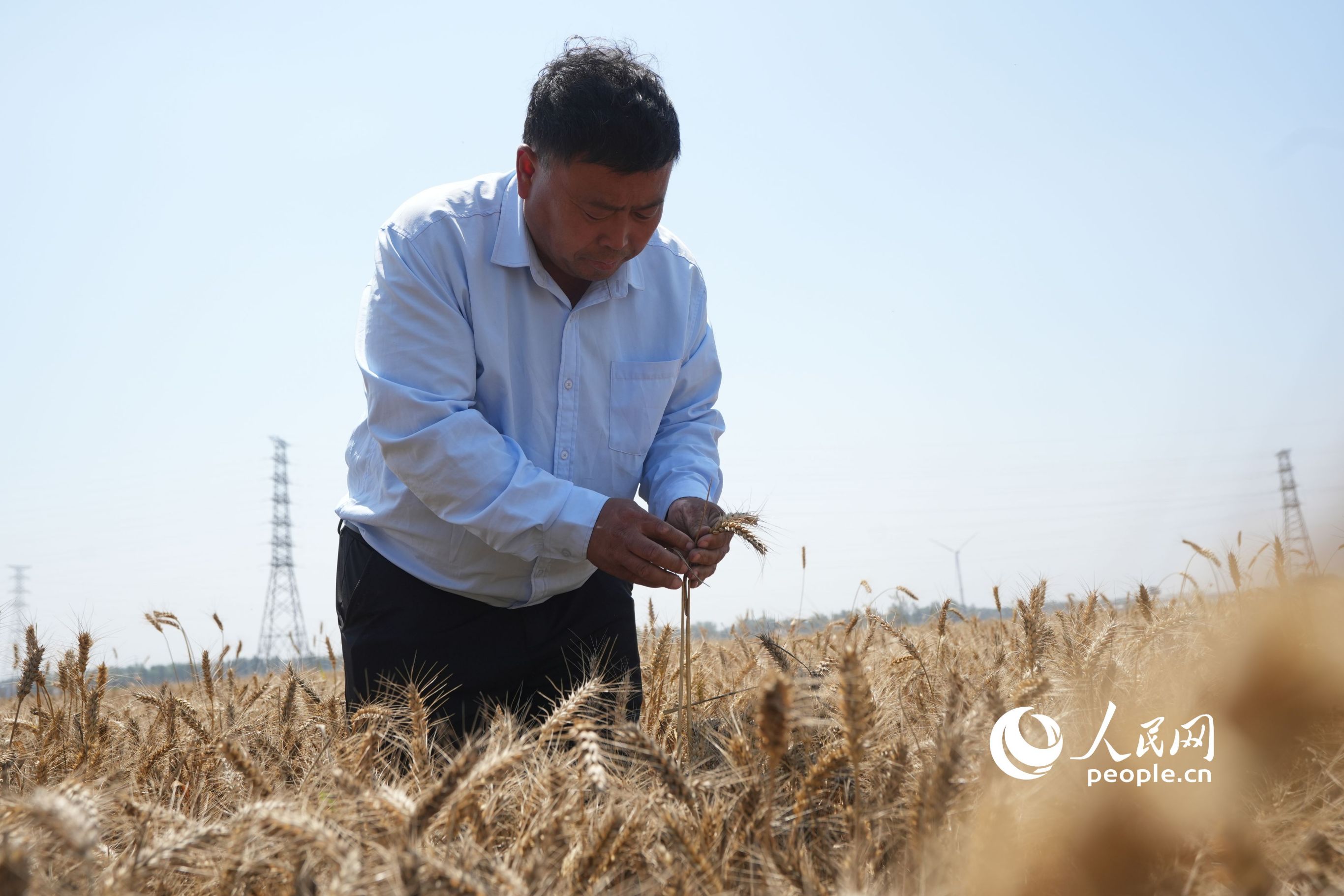 �N�Z����ş����鿴������ɫ������W(w��ng)ӛ�� ���옷�z