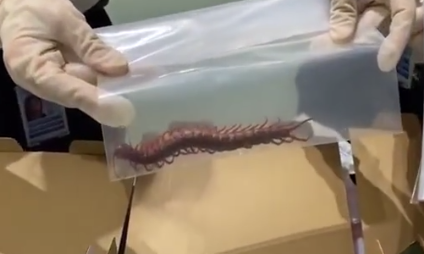 ��Դ��@���P(gu��n)�l(f��)��