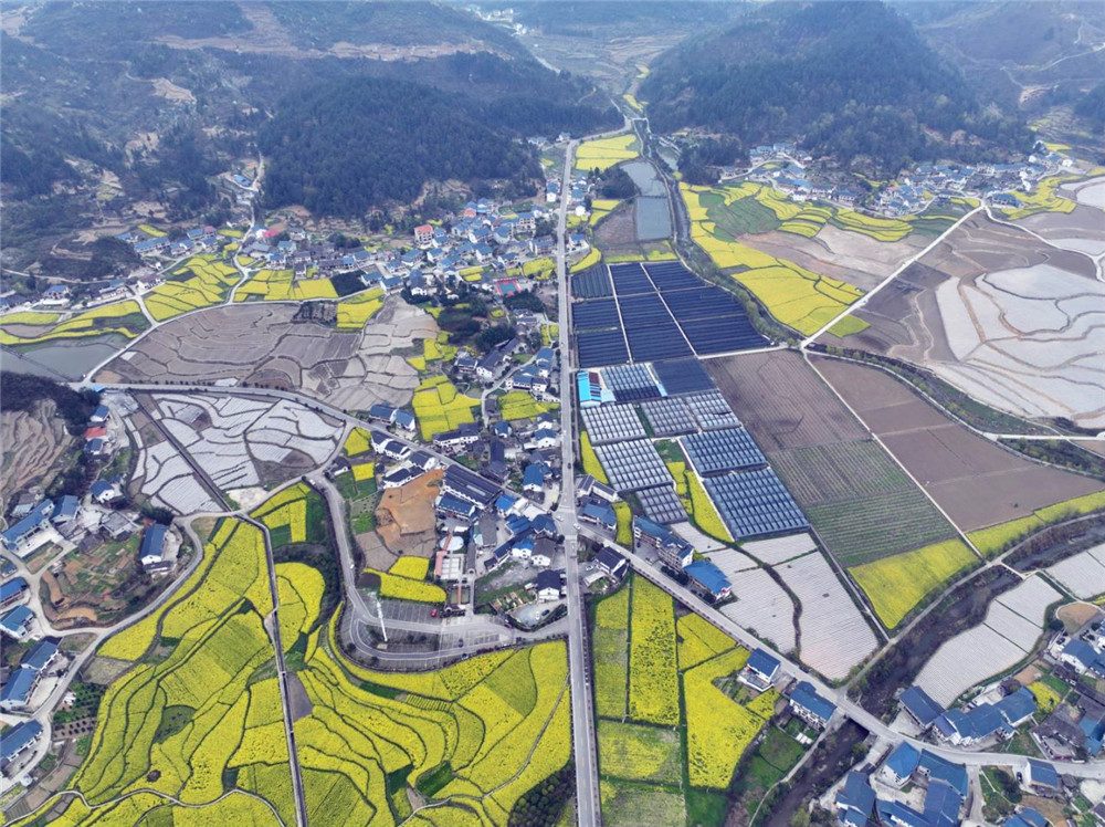 �s�m(x��)�tɫ�vʷ���Ƅ�(d��ng)�l(xi��ng)�����d���F��ʡ���x�в��݅^(q��)��Ԫ��ƈ�μtɫ�l(xi��ng)��·����ͨ�\(y��n)ݔ�����D