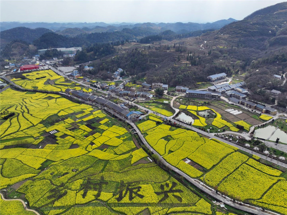 �s�m(x��)�tɫ�vʷ���Ƅ��l(xi��ng)�����d���F��ʡ���x�в��݅^(q��)��Ԫ��ƈ�μtɫ�l(xi��ng)��·����ͨ�\ݔ�����D