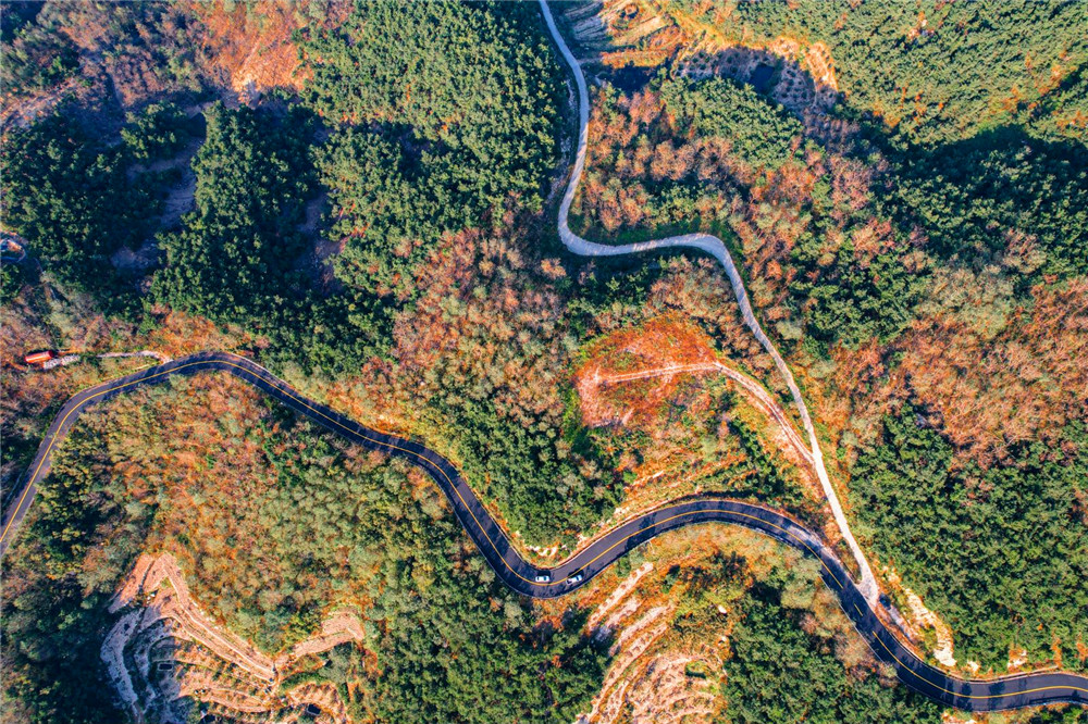 ������(j��ng)��(j��)�_�l(f��)���^���������������ϡ���һ�w�ľGɫ��ͨ��ɽ�|ʡ���_(t��i)�к��(y��ng)�бPʯ-�����������·����ͨ�\(y��n)ݔ�����D