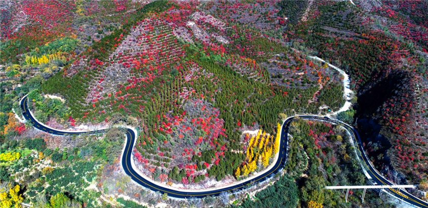 ����(w��)���ϱ������W��(hu��)����M�F(xi��n)���Ƽ�Ԫ�صı������ӑc�^(q��)���Z·����ͨ�\(y��n)ݔ�����D